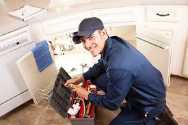 Best Toilet Repair and Installation  in Port Edwards, WI